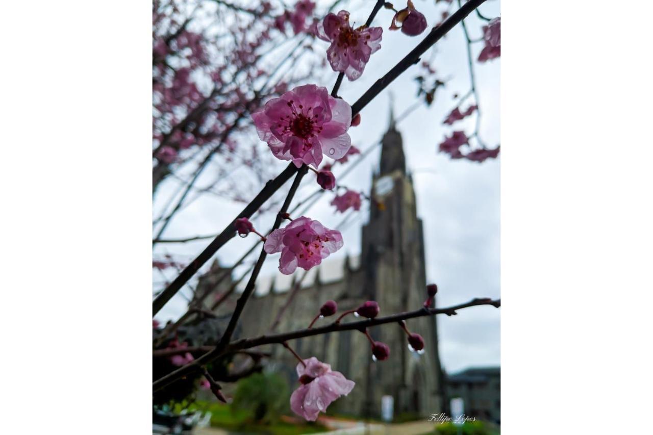 Ao Lado Da Catedral - @Stayhousetemporada Canela Ngoại thất bức ảnh